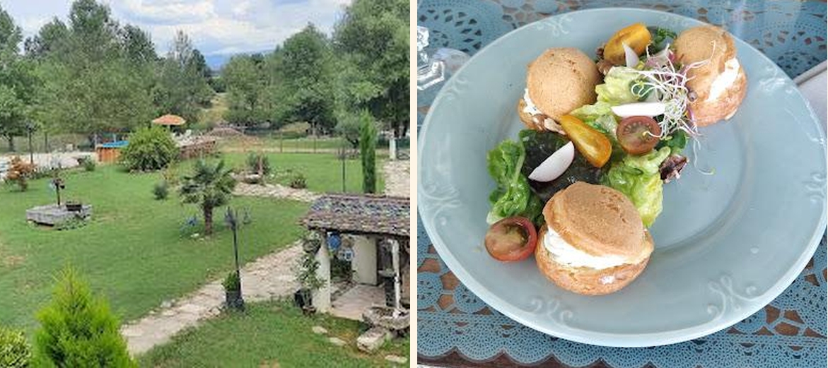 Un coin de paradis - Gallery Image 7